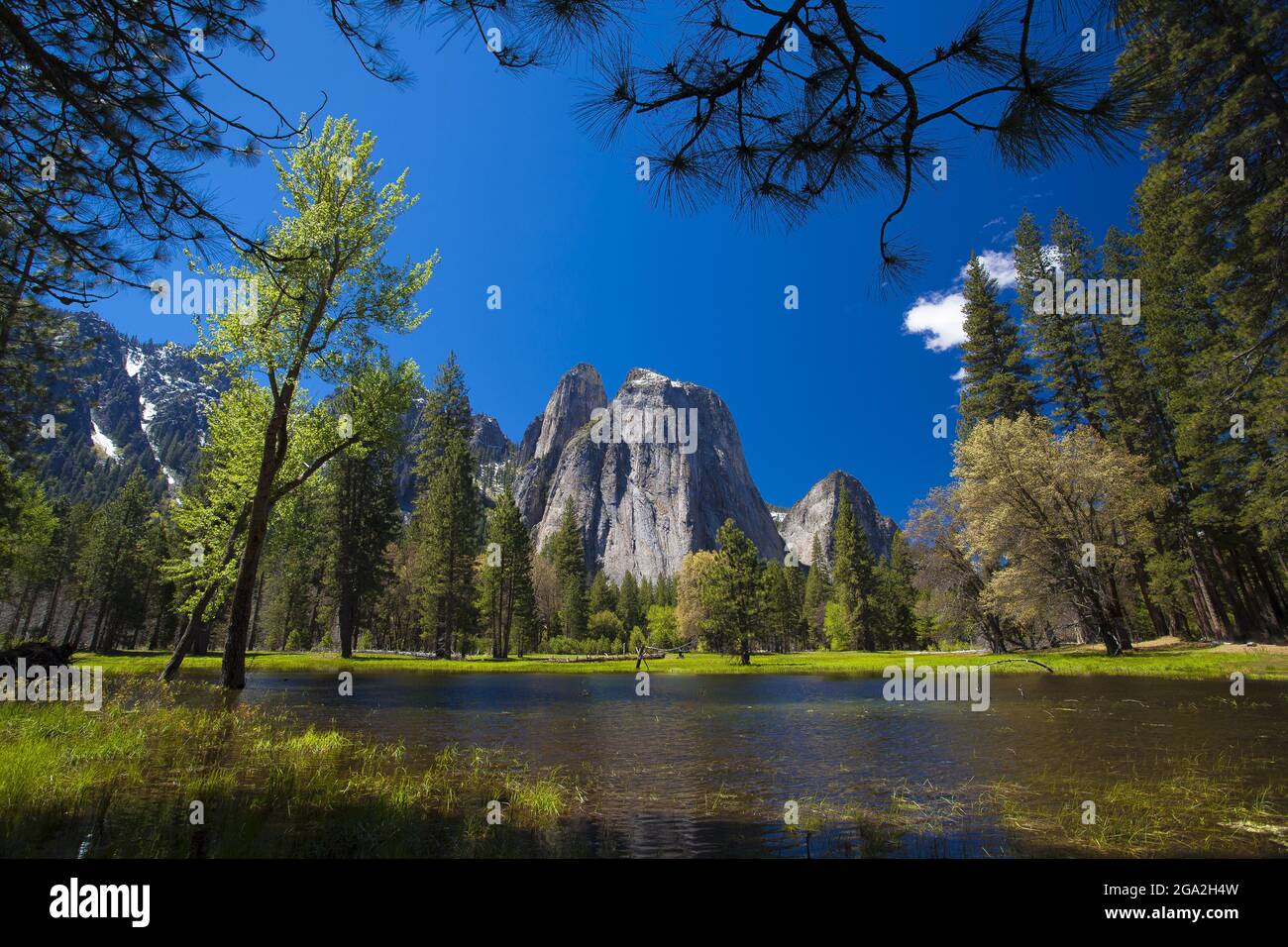 Cathedral Rocks and Cathedral Spires in Yosemite National Park