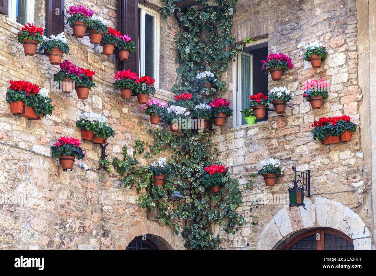 Close-up of the exterior of an old building with colorful flower pots suspended vertically on the stone walls Stock Photo