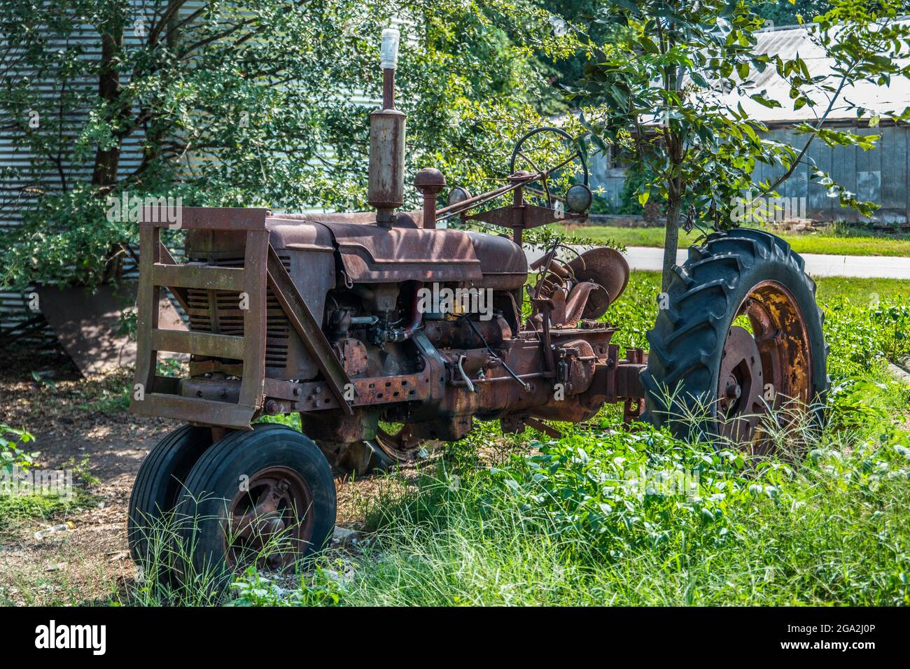 Old rusted farm tractor left for scrap in a farm field in tall weeds with a couple of farm buildings in the background on a bright sunny day in summer Stock Photo