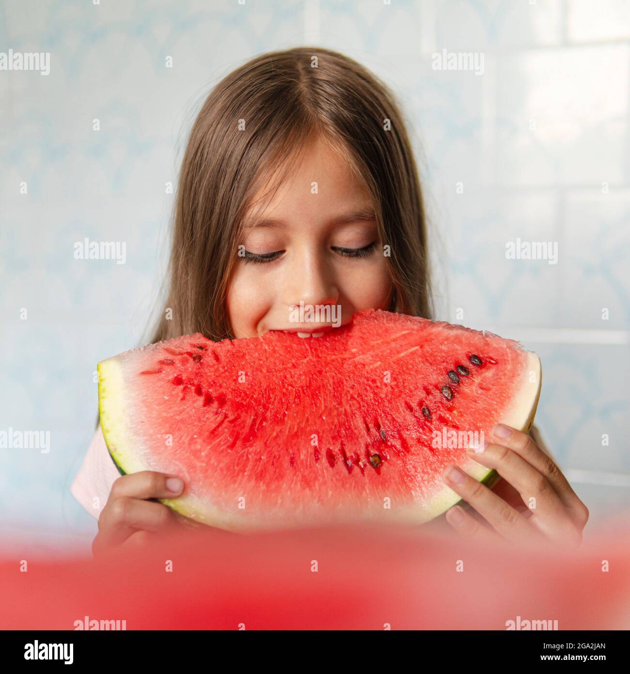 8 years old child eating watermelon at home. A large piece of ripe red watermelon in the hands of a little girl on a blue background. Stock Photo