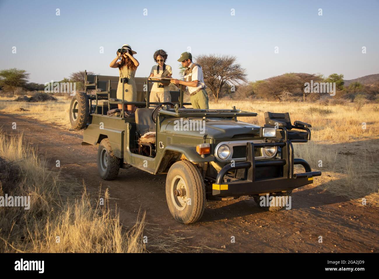 Safari guide and woman traveler standing in a parked jeep looking at reference book while another kneels in jeep looking out onto the savanna with ... Stock Photo