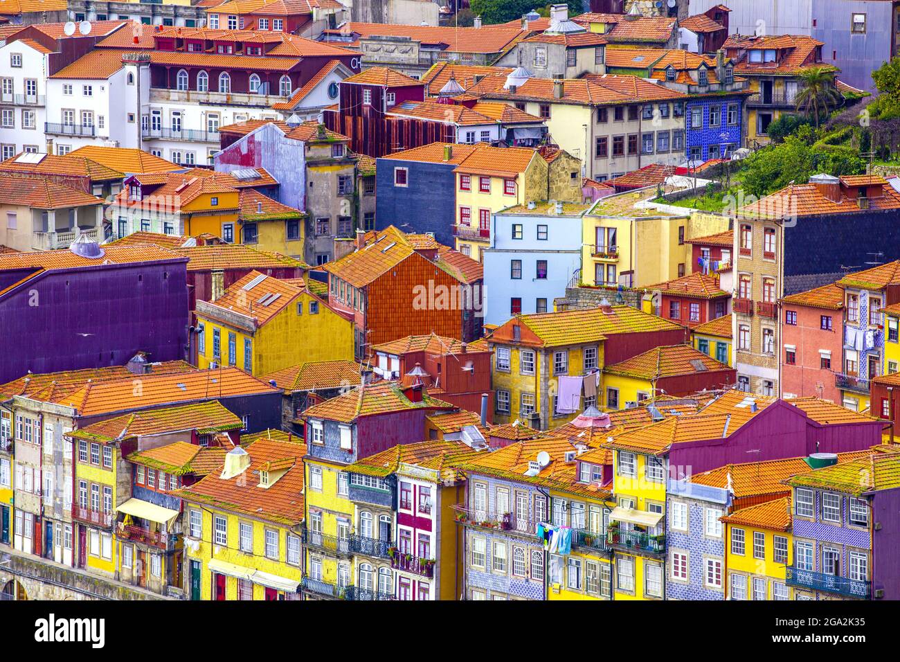 Traditional, colorful townhouses with their clay tiled rooftops compacted together in the old city center along the Douro riverside Stock Photo
