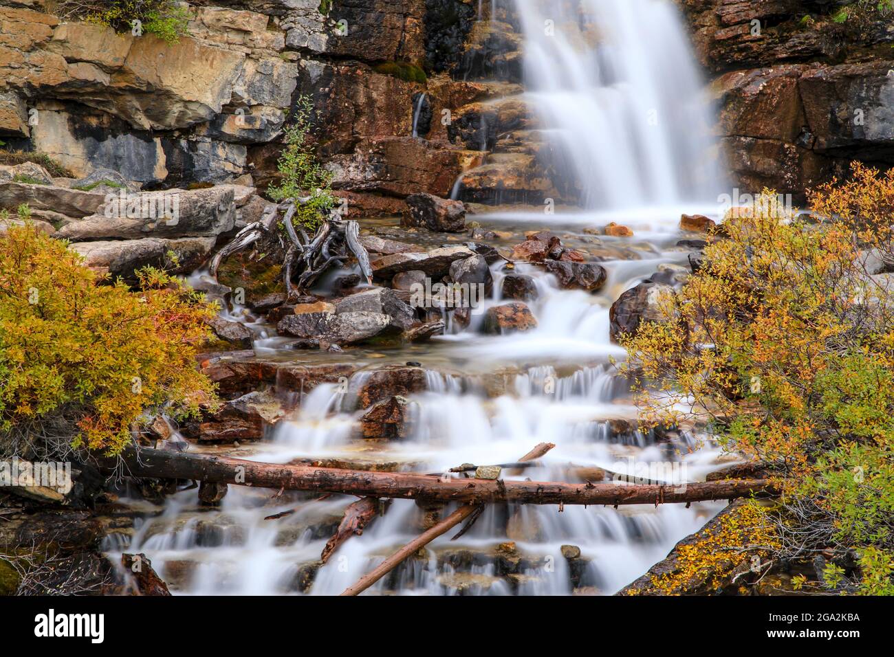 Autumn coloured foliage flowing hi res stock photography and images Alamy