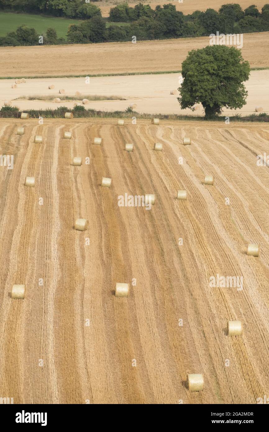Hay rolls ireland hi-res stock photography and images - Alamy