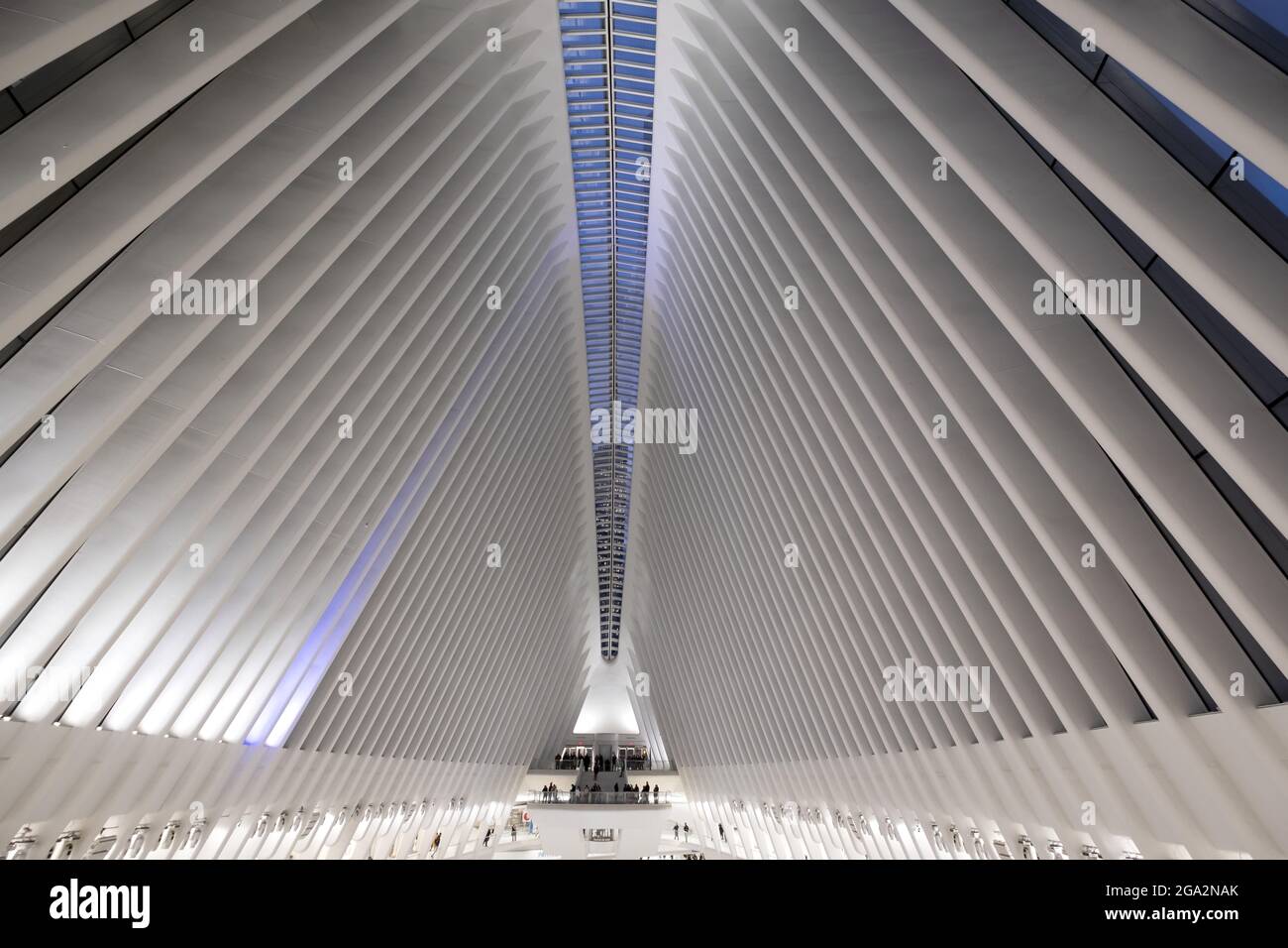 Interior view of the Oculus, The World Trade Center terminal station, a transportation and shopping hub designed by Santiago Calatrava to resemble ... Stock Photo