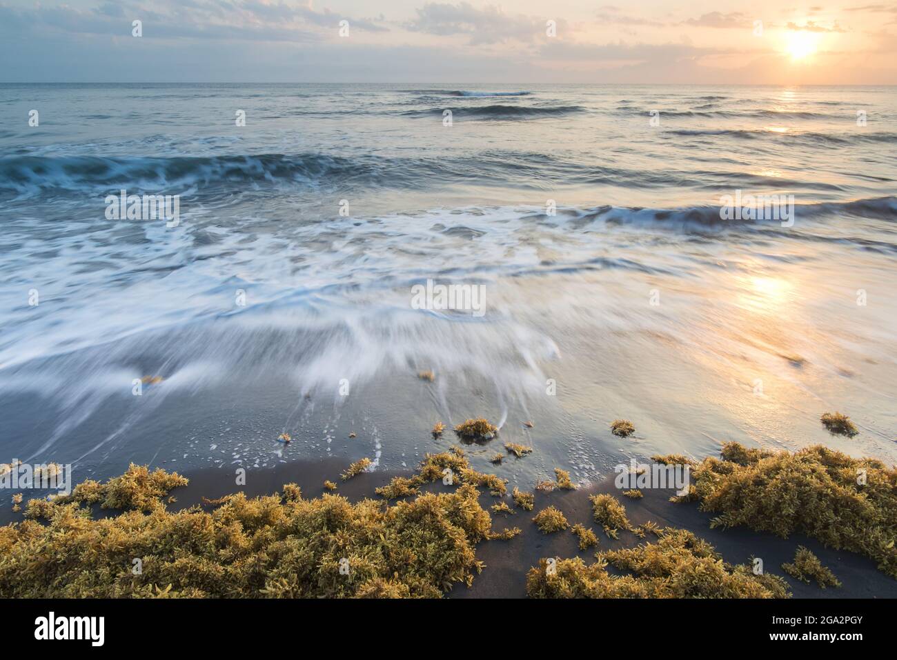 Sunrise over the Caribbean Sea on Costa Rica's eastern coastline with the sea surf rushing the sandy shoreline of Tortuguero and seaweed lines the ... Stock Photo