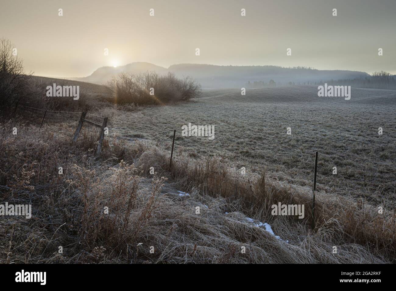 Mist over farmland at sunrise with bright sun rays over the horizon; Thunder Bay, Ontario, Canada Stock Photo
