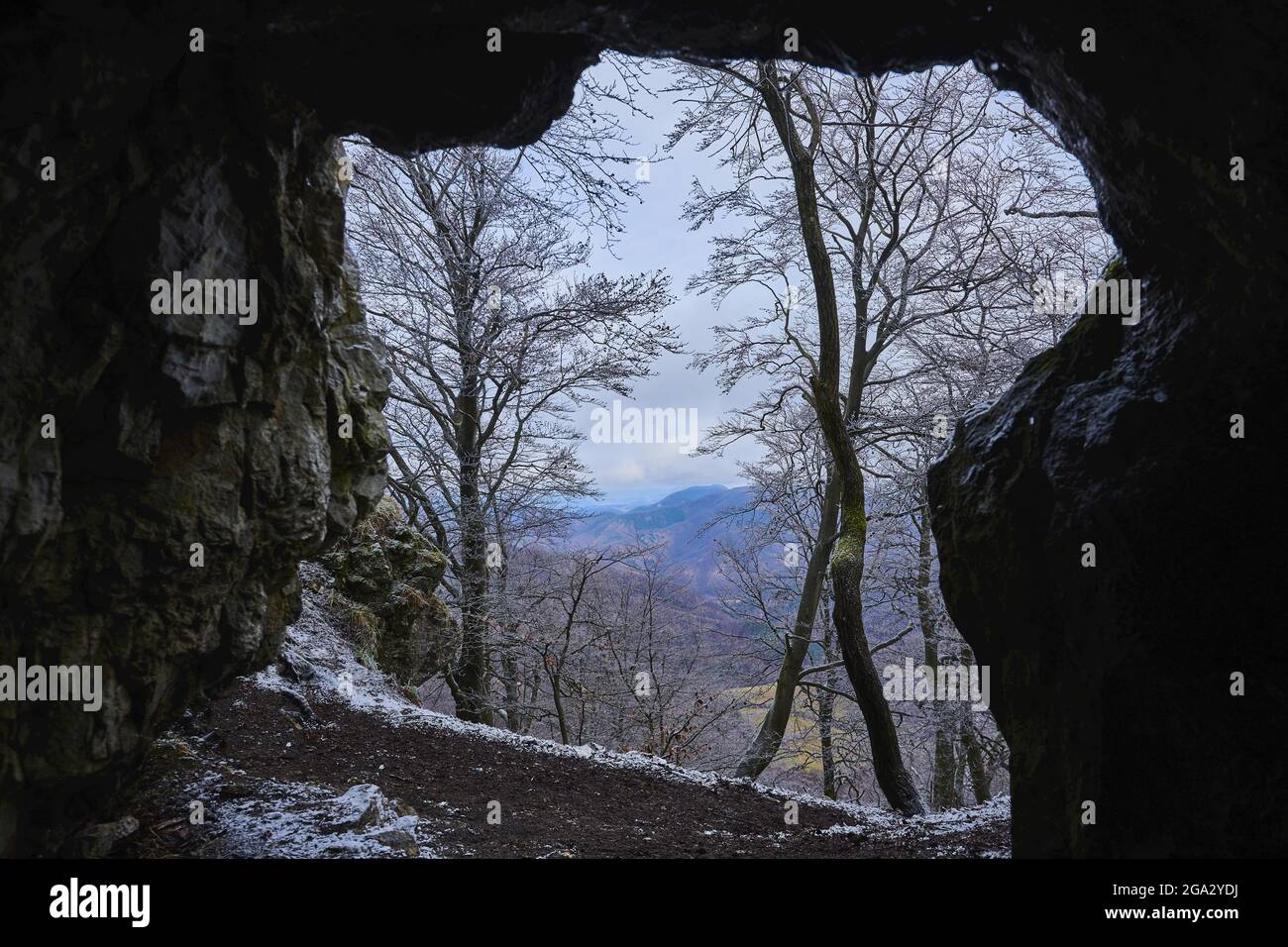 View out of a cave with snowy European beech (Fagus sylvatica) trees at Mount Vapec in the Strazov Mountains Stock Photo