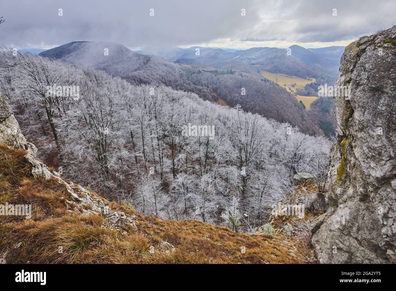 Snowy European beech (Fagus sylvatica) trees on the mountaintop at Mount Vapec in the Strazov Mountains overlooking the countryside Stock Photo
