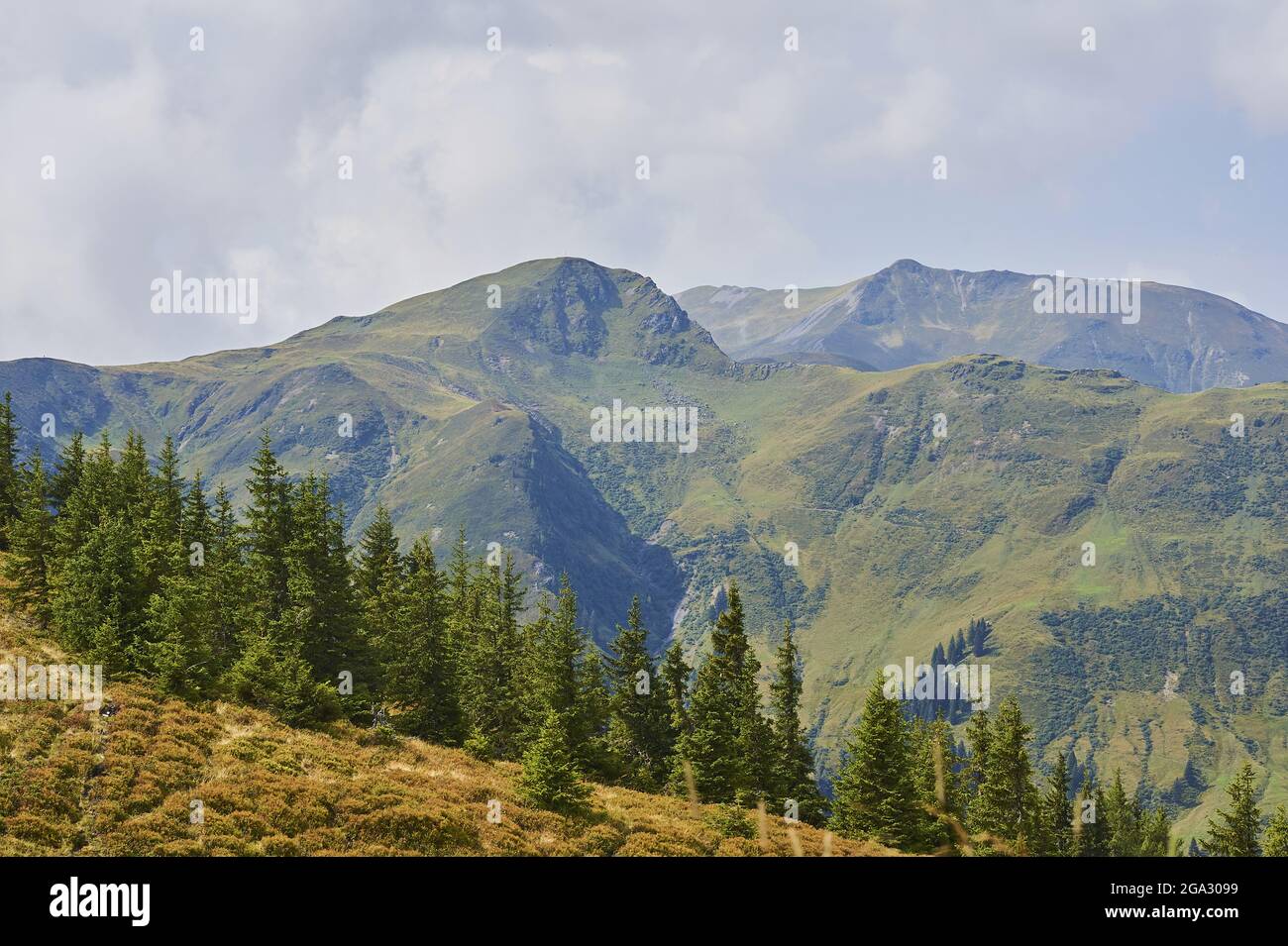 View from Mount Schüttenhöhe with conifer trees and clouds over the mountains,  Zell am See, Kaprun; Salzburg State, Austria Stock Photo