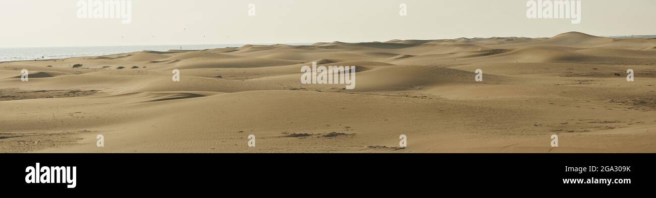 Dunes of sand on the beach at Ebro River Delta; Catalonia, Spain Stock Photo