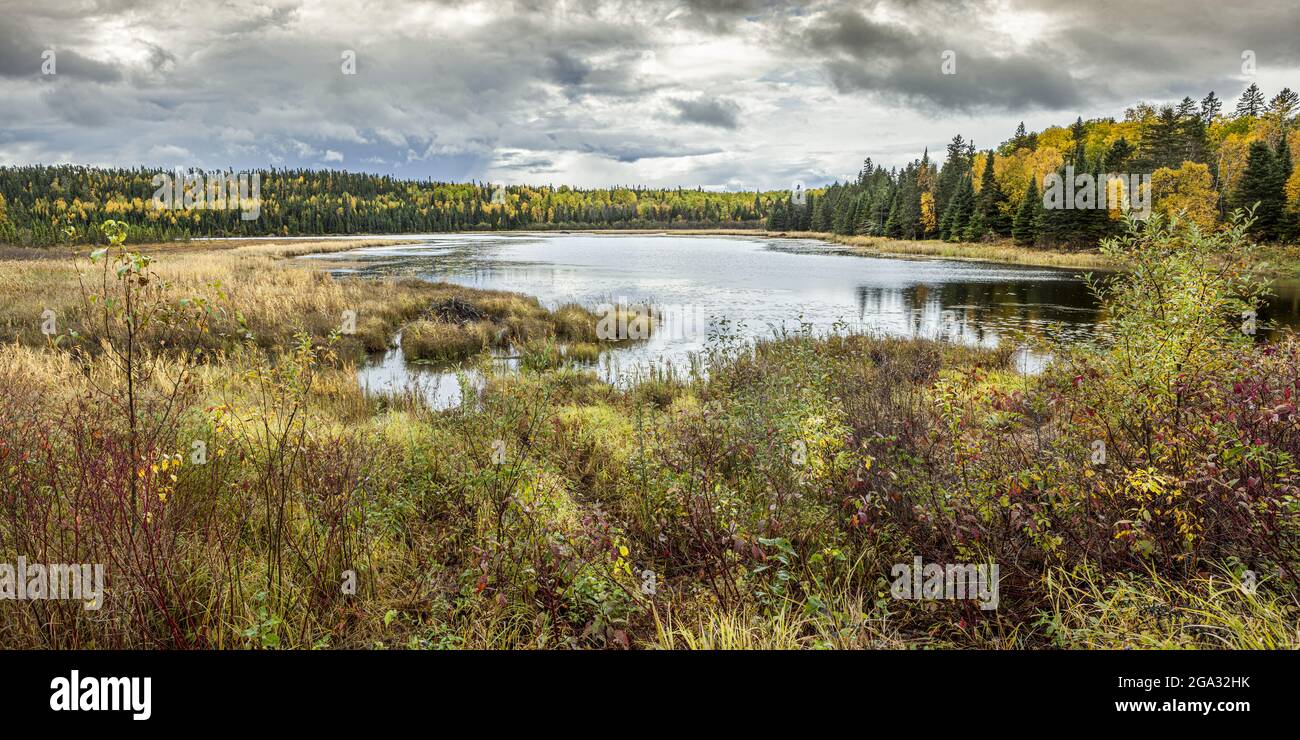 Autumn colours surround a pond; Thunder Bay, Ontario, Canada Stock Photo