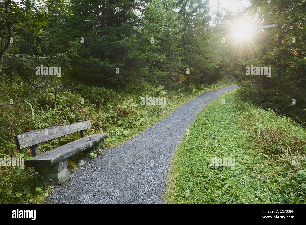 Bench beside the walking trail up to Mount Schmittenhohe, Zell am See, Kaprun, Salzburg, Austria Stock Photo