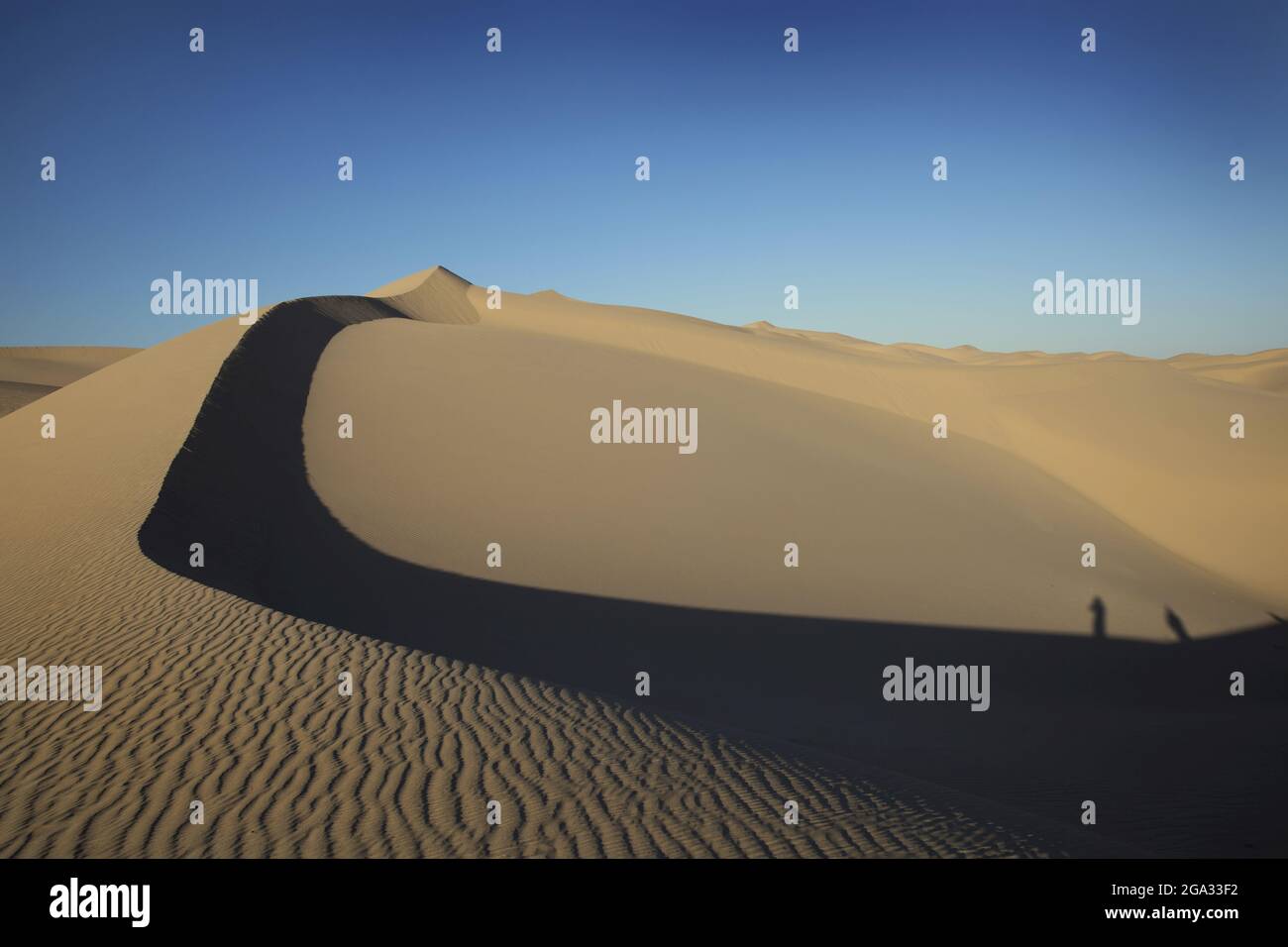 Landscape of sand dunes and shadows of tourists in Yuma, Arizona; Yuma