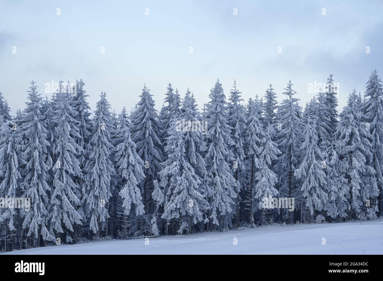 Winter landscape in the morning, Wasserkuppe mountain in the Rhon Mountains; Gersfeld, Hesse, Germany Stock Photo