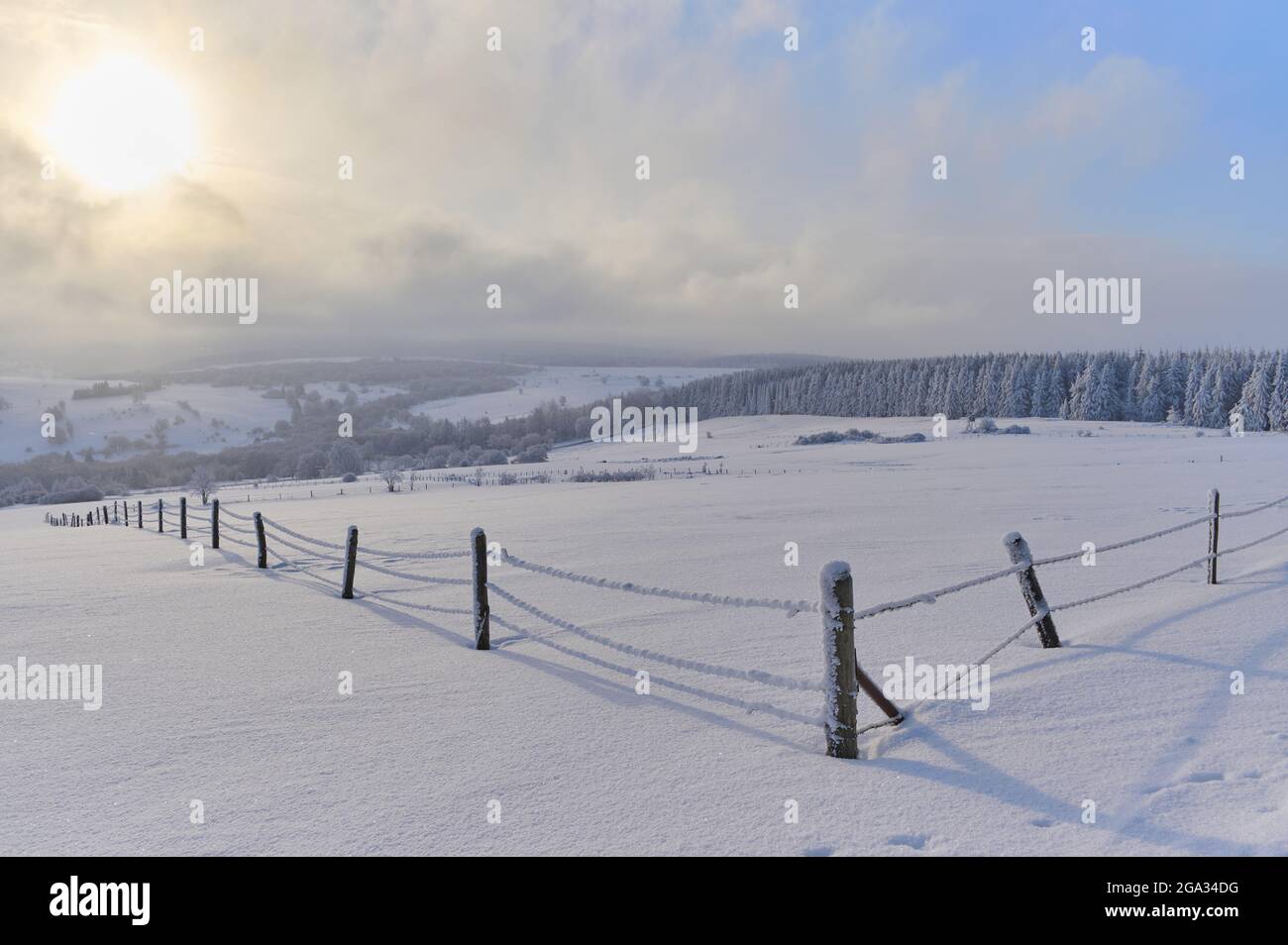 Winter landscape at sunrise, Wasserkuppe mountain in the Rhon Mountains; Gersfeld, Hesse, Germany Stock Photo