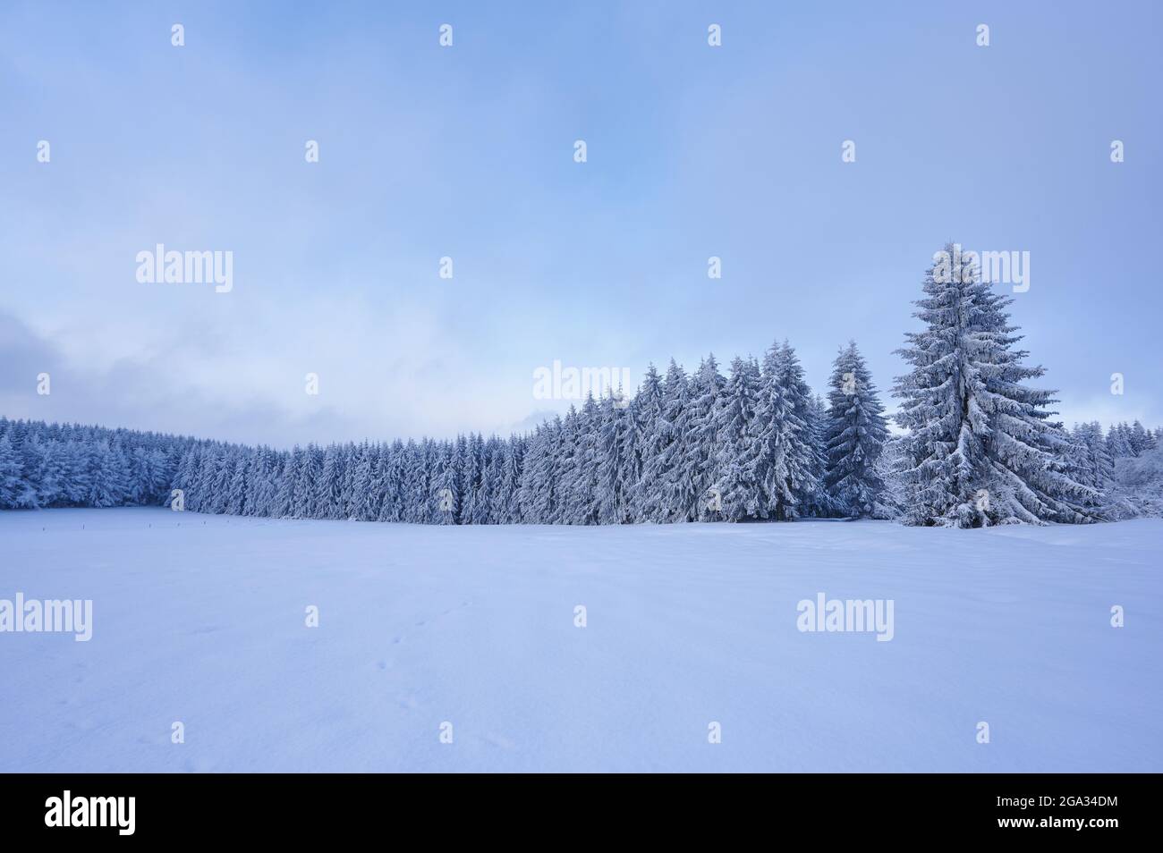 Winter landscape in the morning, Wasserkuppe mountain in the Rhon Mountains; Gersfeld, Hesse, Germany Stock Photo