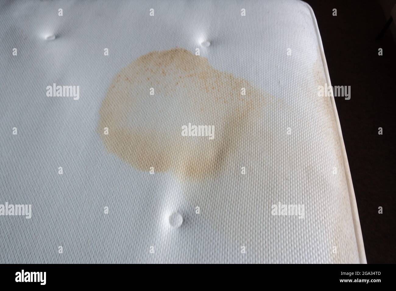 How To Get Rid Of Stains On White Mattress at James Dearth blog