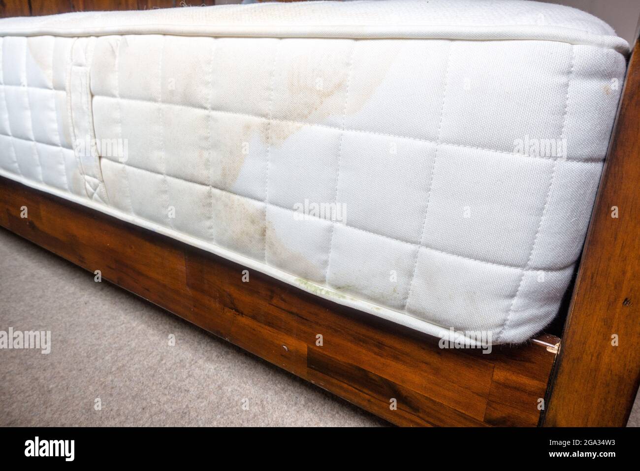 Soiled stains on white mattress Stock Photo Alamy