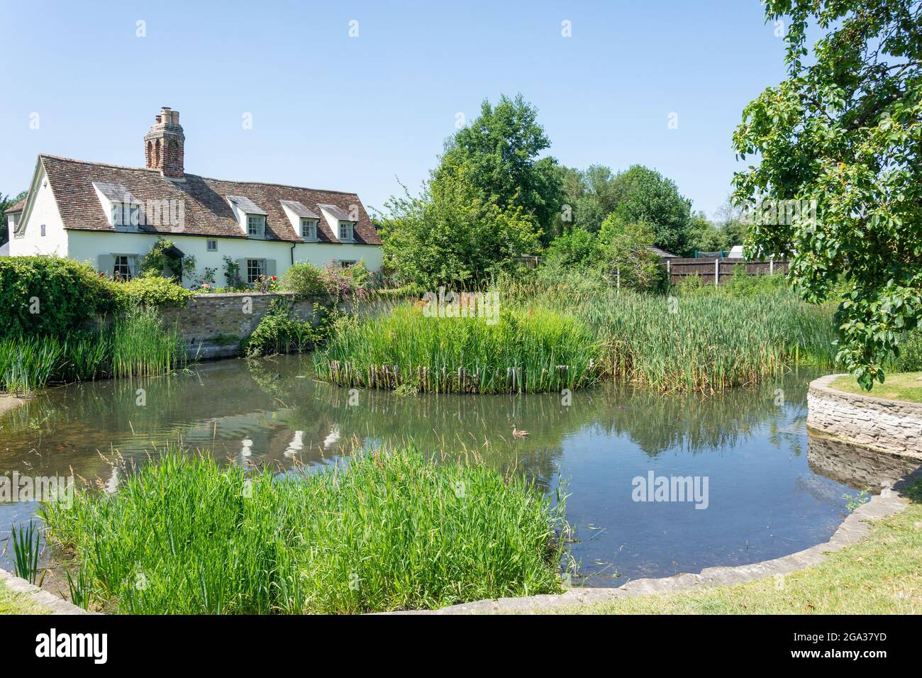 Comberton village pond, Comberton, Cambridgeshire, England, United Kingdom Stock Photo