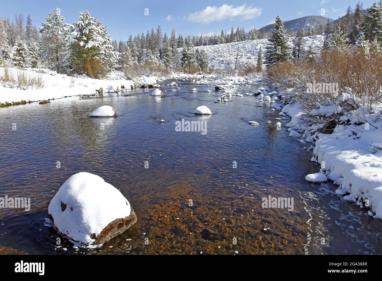 Laramie River with snow-covered rocks on a winter landscape, running through Wyoming and Colorado, USA; Wyoming, United States of America Stock Photo