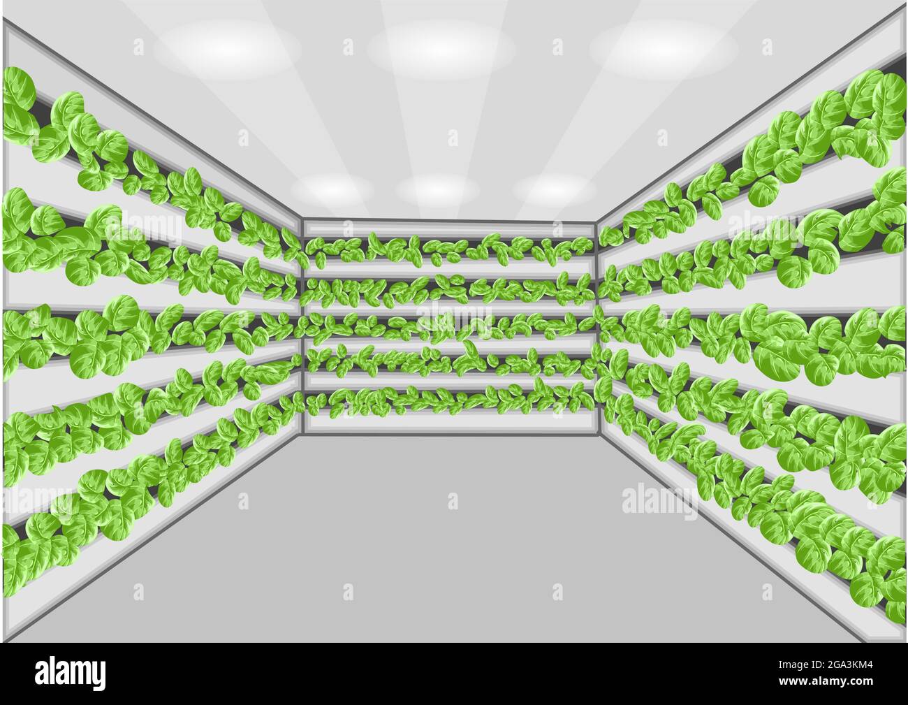 vertical farming with green plant vector illustration Stock Vector