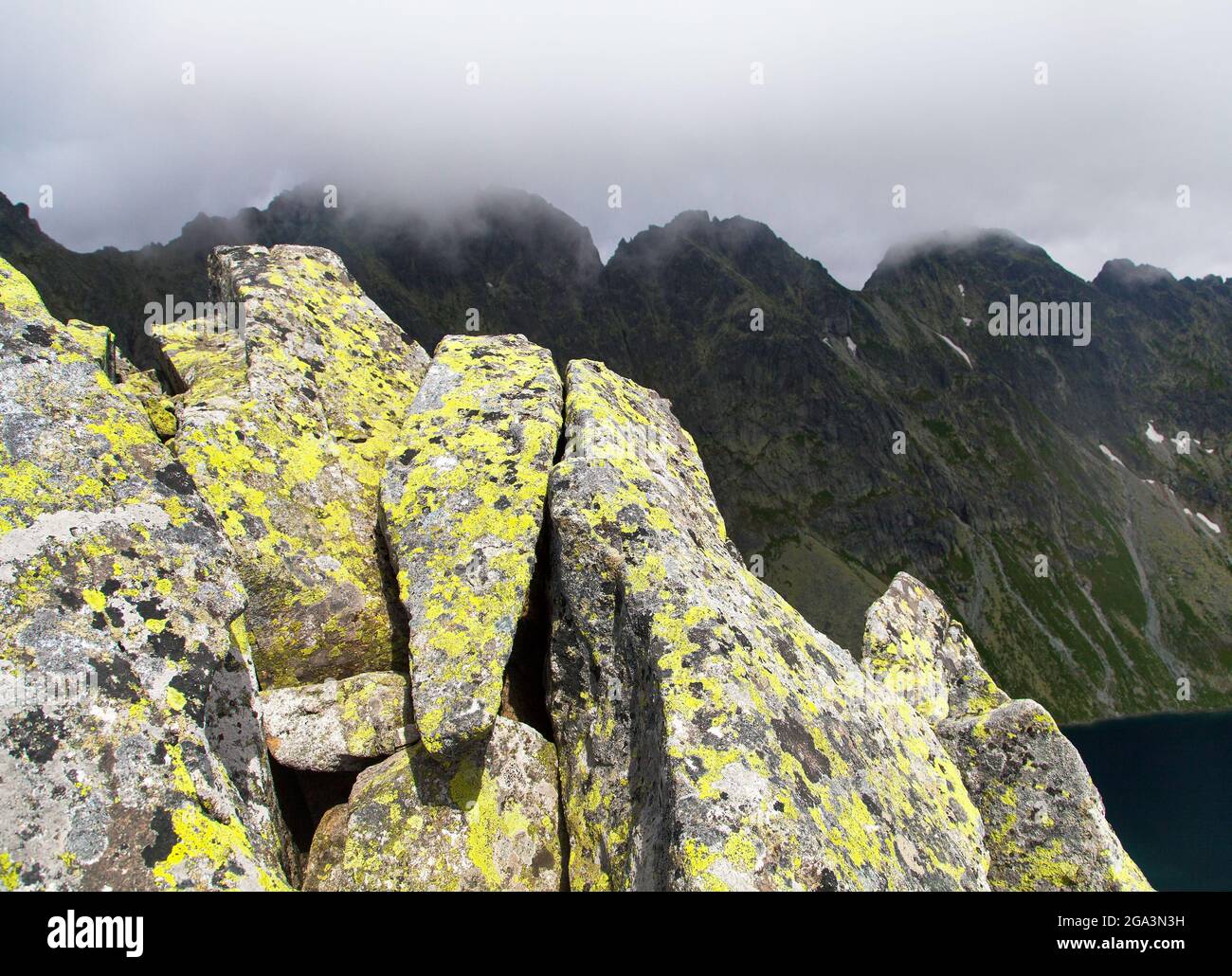 Stone with lichens, Vysoke Tatry or High Tatras mountains, Carpathia, Slovakia Stock Photo
