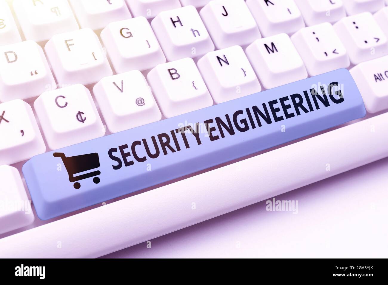 Conceptual caption Security Engineering. Business showcase focus on the ...