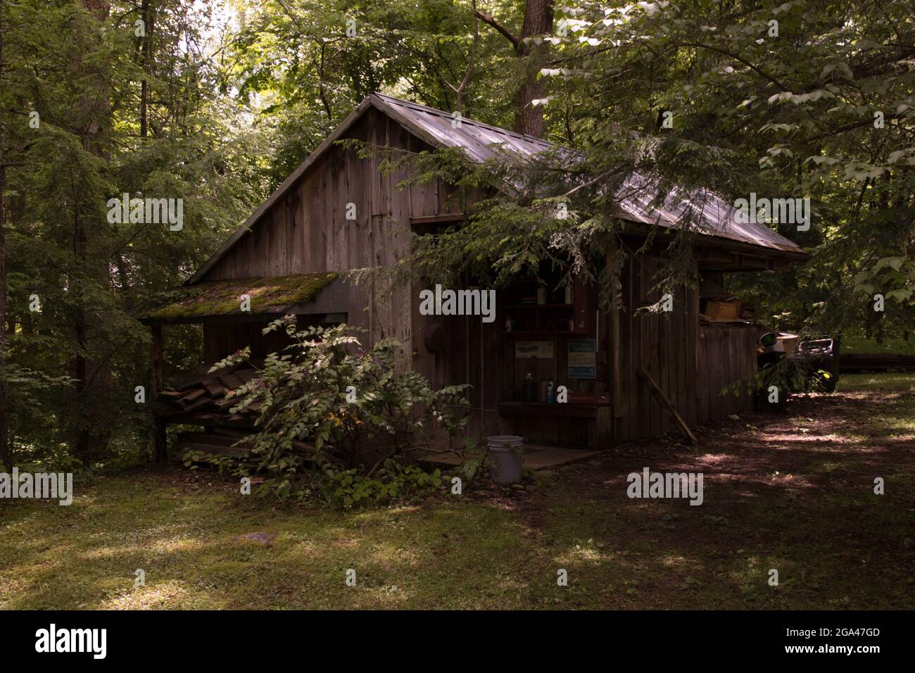 Cabin in the woods hi-res stock photography and images - Alamy