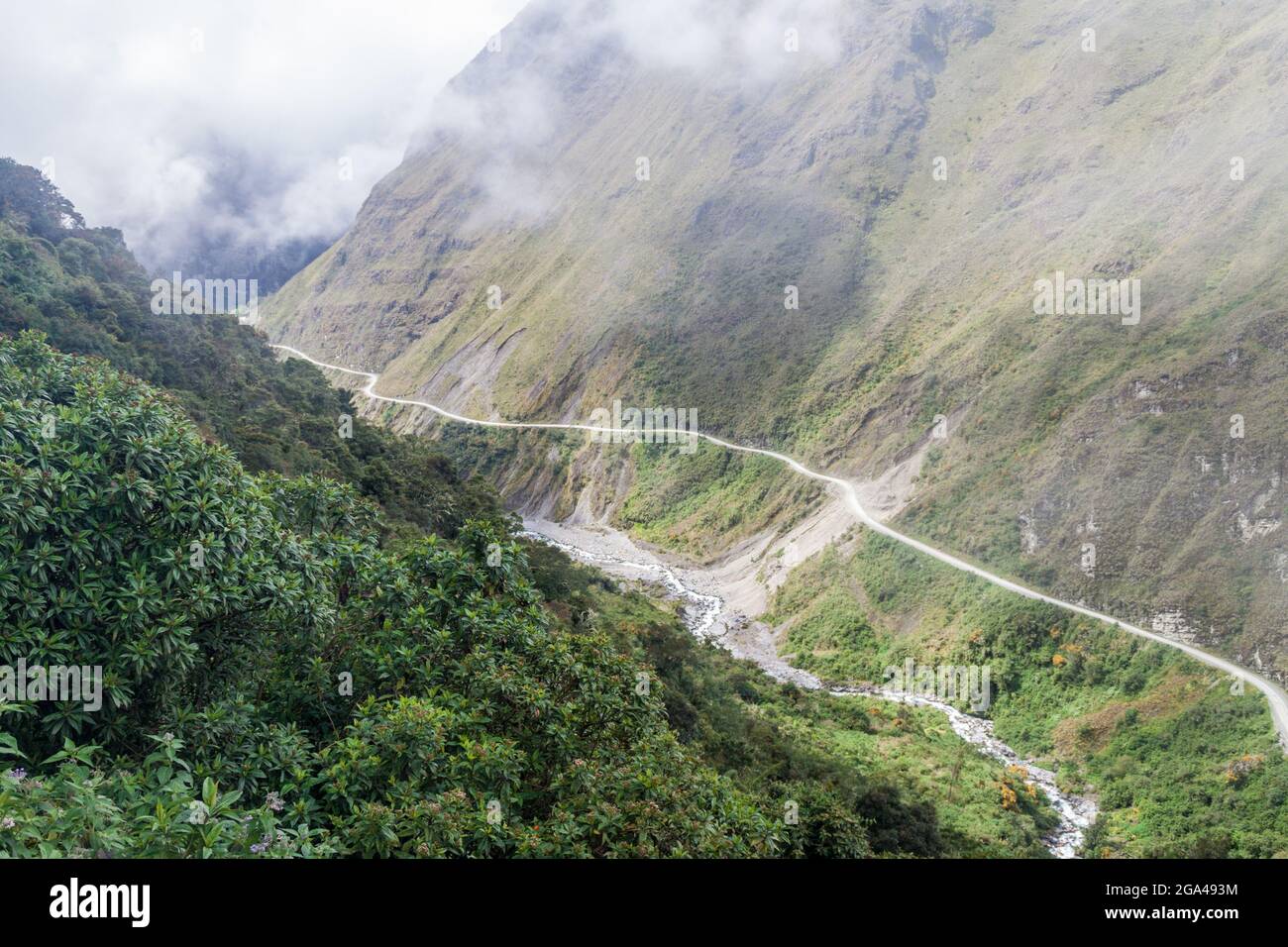 Yungas bolivia national park hi-res stock photography and images - Alamy