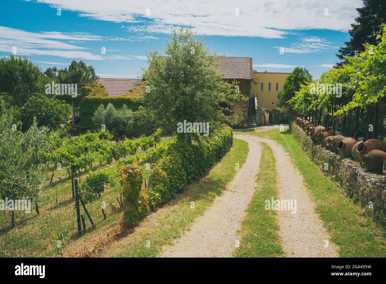 Old winery in spain hi-res stock photography and images - Alamy