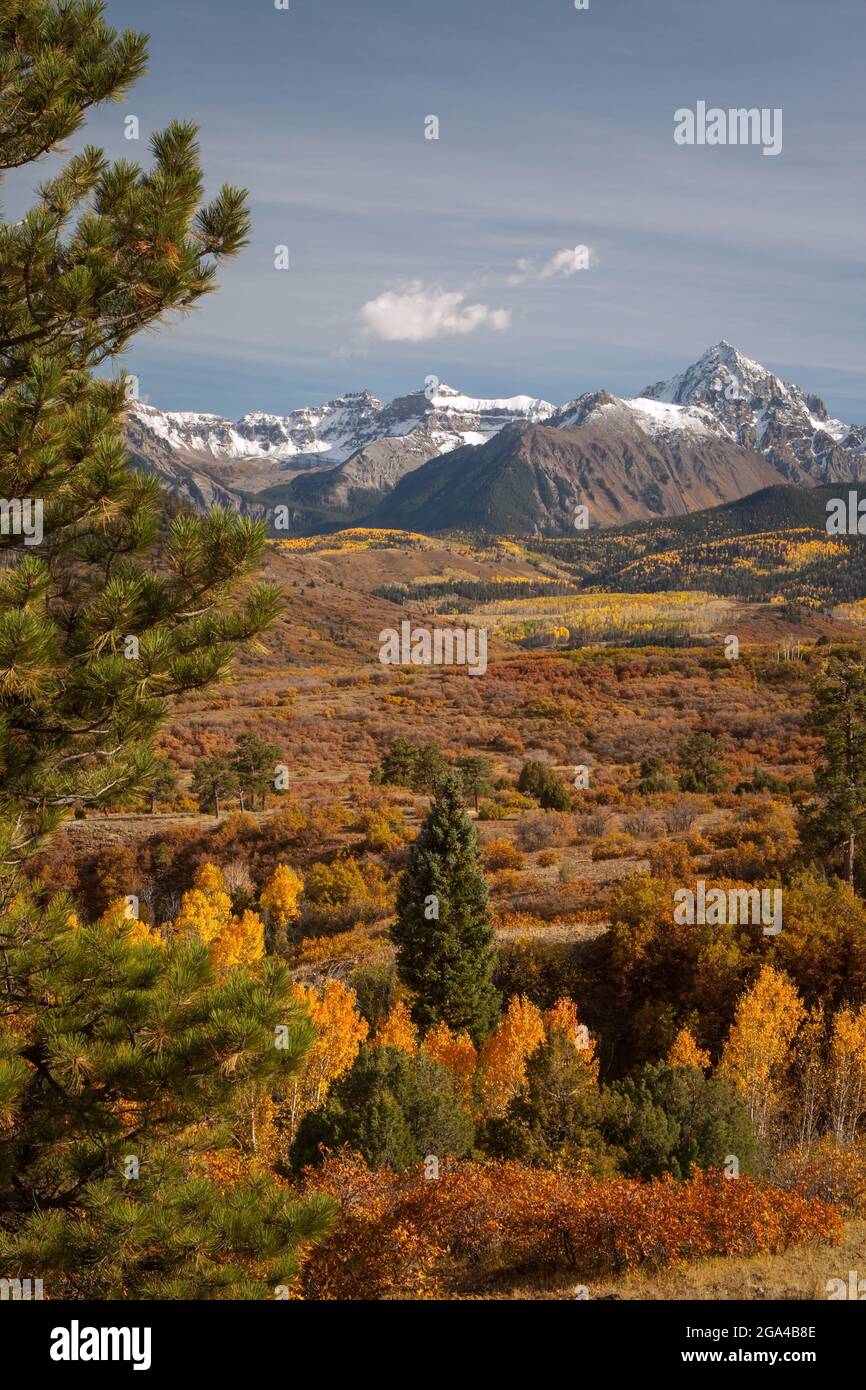 A view of Colorado icons - the San Juan Mountains, Sneffels Range, Mt. Sneffels, fall colors, aspens, high country. Stock Photo