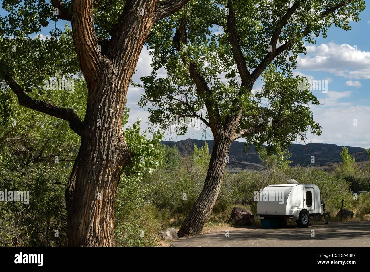 Custom-built teardrop camper parked under cottonwood trees at Green River Campground in Dinosaur National Monument near Jensen, Utah. Stock Photo