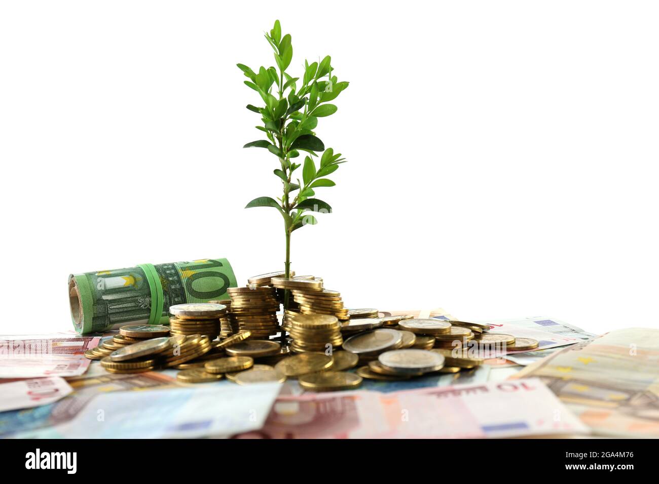Money with growing sprout isolated on white Stock Photo Alamy