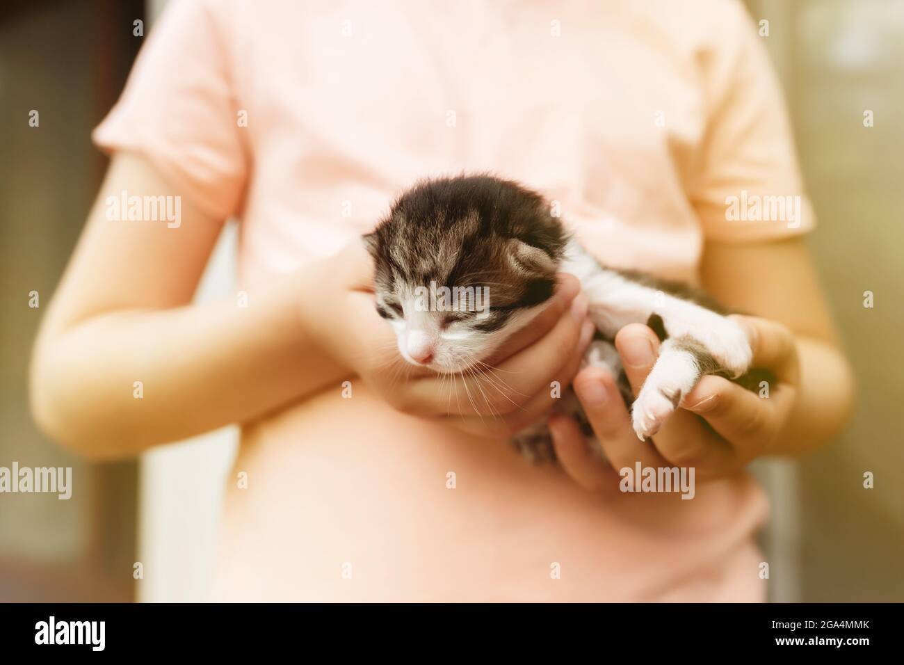 Little girl holding a little kitten with closed eyes in her arms. Pet care concept. Child playing with adorable newborn cat. High quality photo Stock Photo