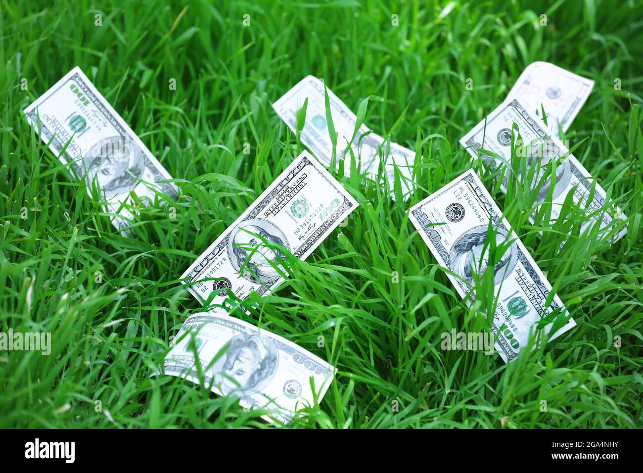 Banknotes money over green grass background Stock Photo - Alamy