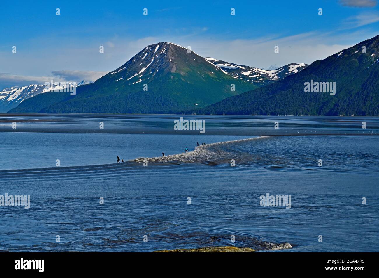 Surfing on Tide Wave - Turnagain Arm, Anchorage Stock Photo