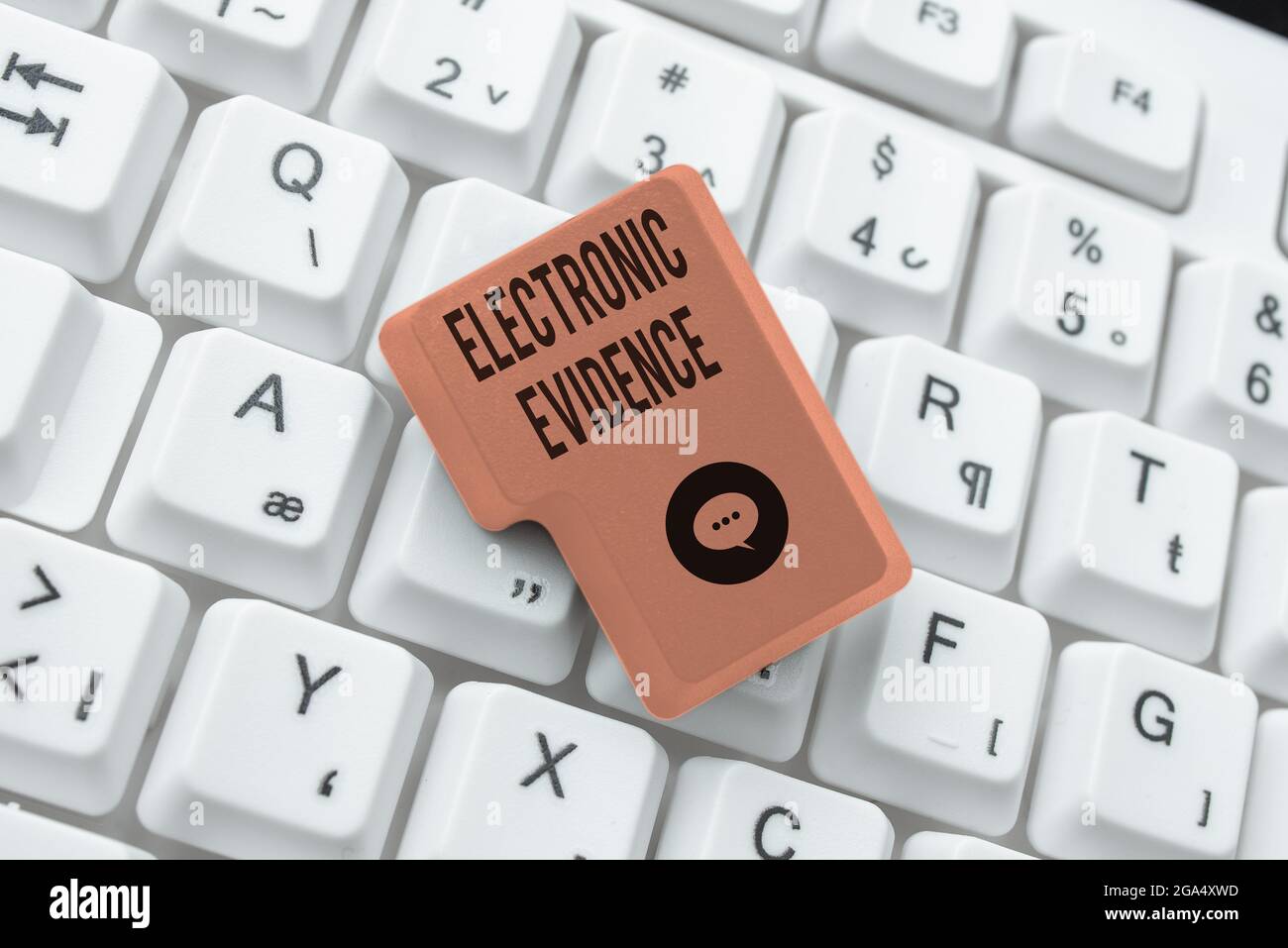 Writing displaying text Electronic Evidence. Concept meaning probative information stored or transmit in digital form Editing Website Program Codes Stock Photo