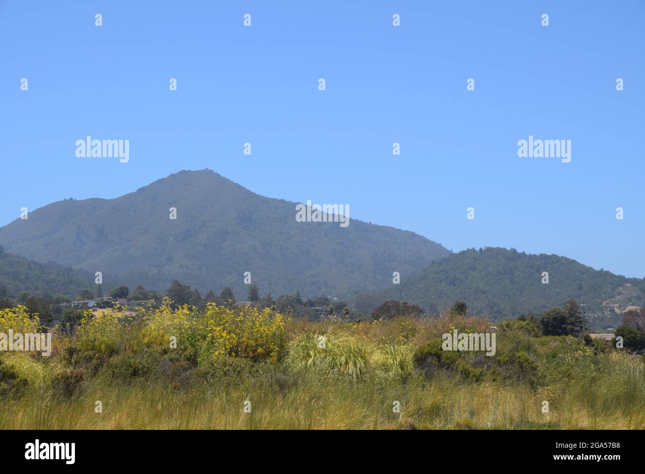 A view of the scenery in Marin County, California Stock Photo