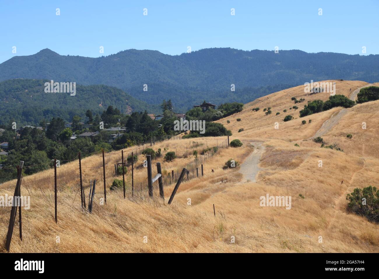 A view of the scenery in Marin County, California Stock Photo