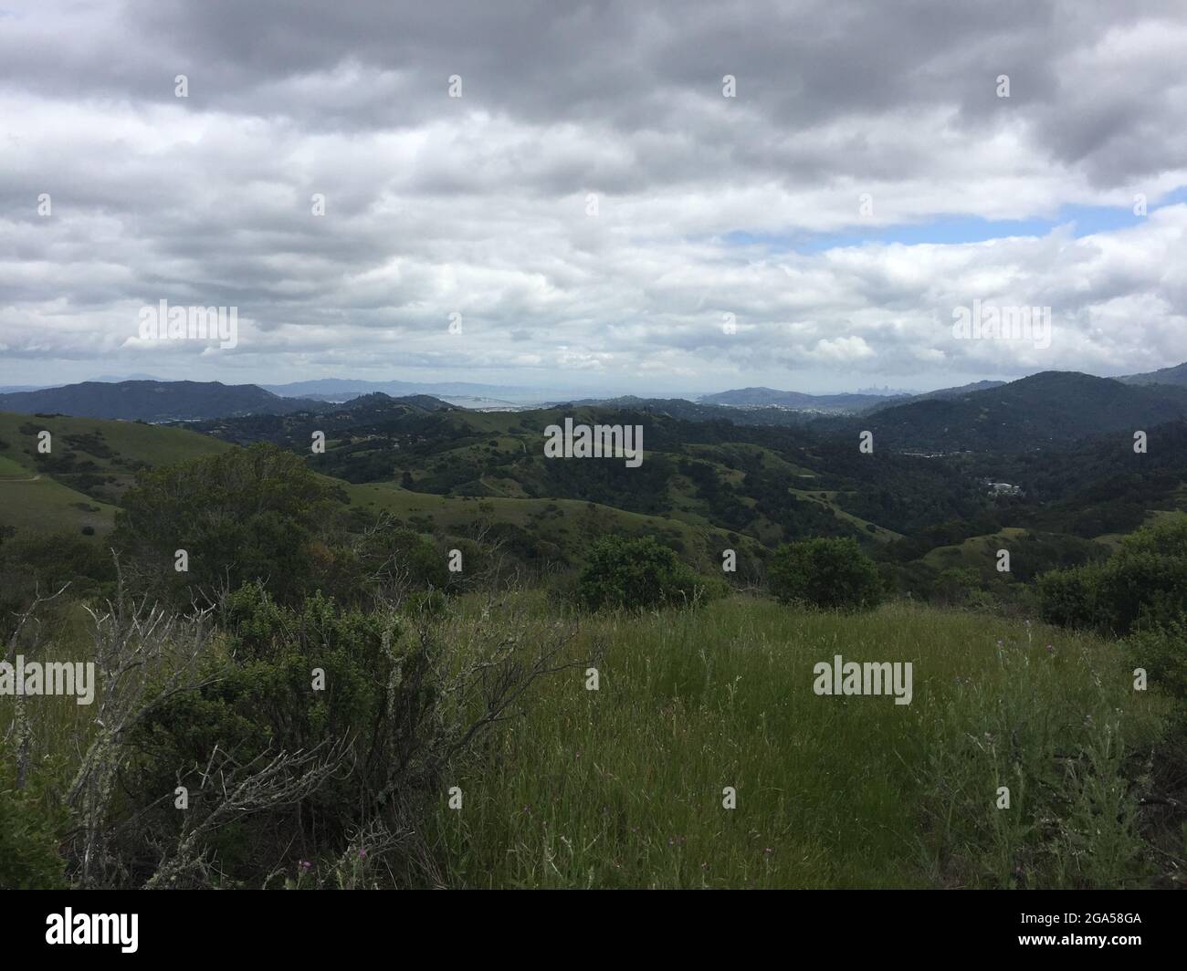 A view of the scenery in Marin County, California Stock Photo