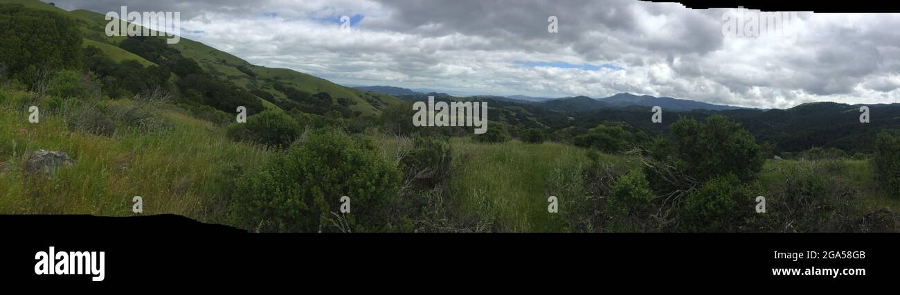 A view of the scenery in Marin County, California Stock Photo