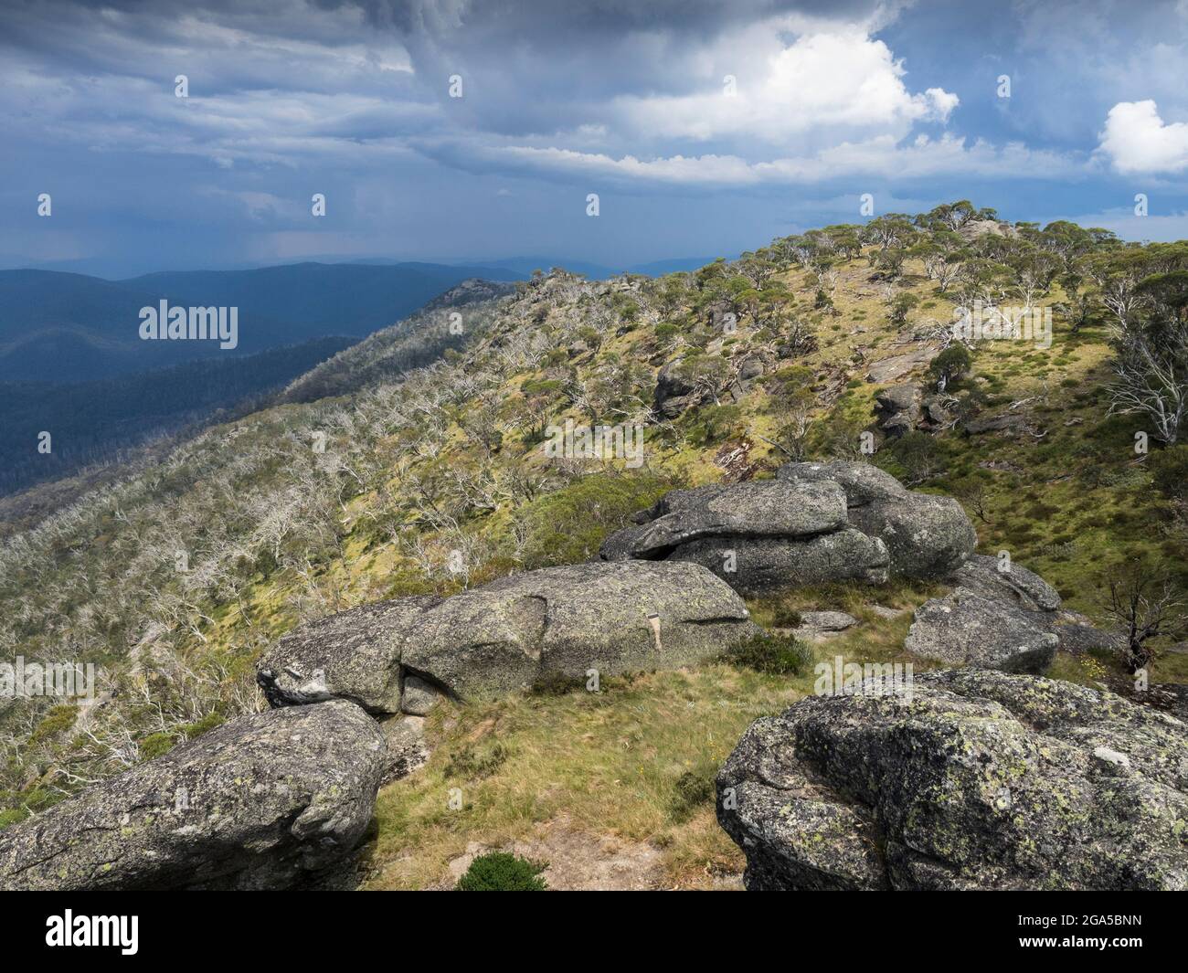 Mt wills hires stock photography and images Alamy