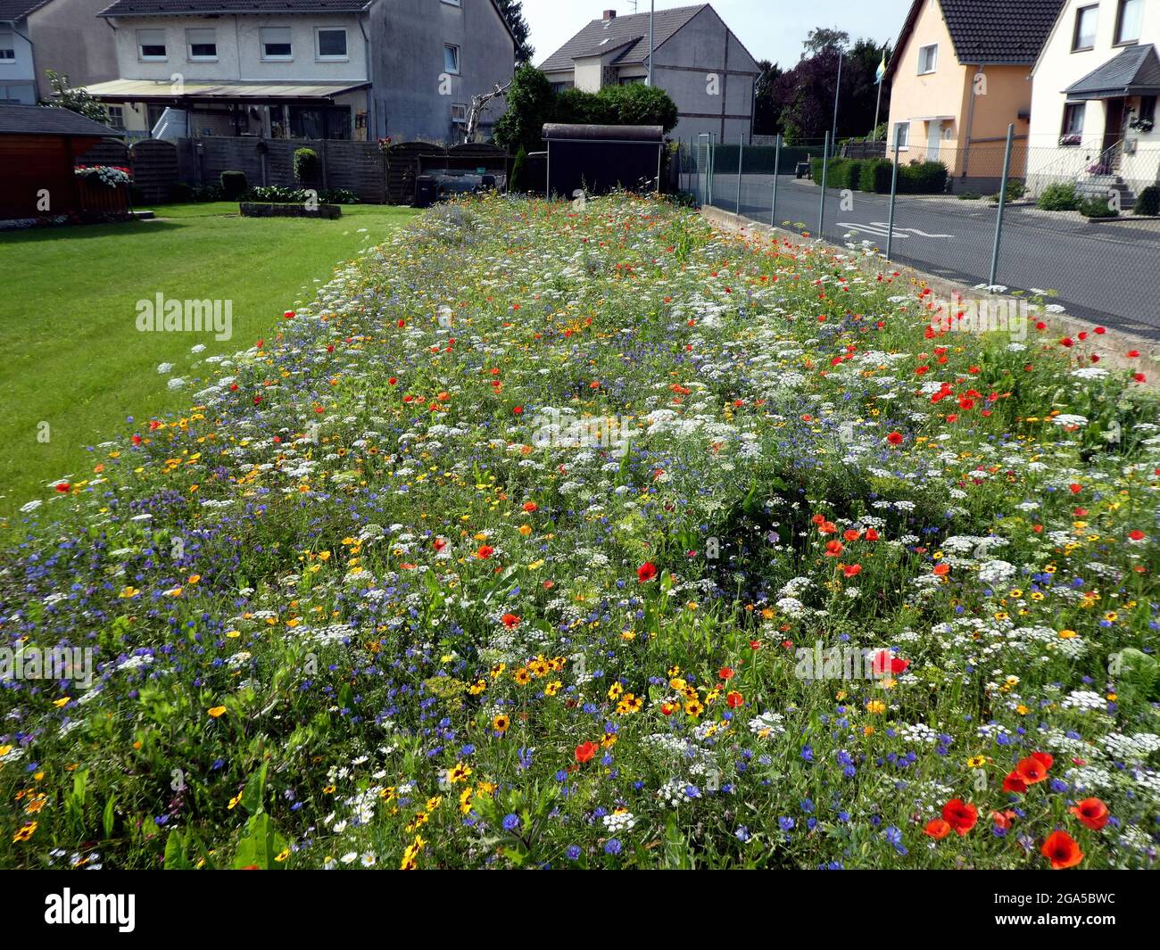 Nectar plants hi-res stock photography and images - Alamy