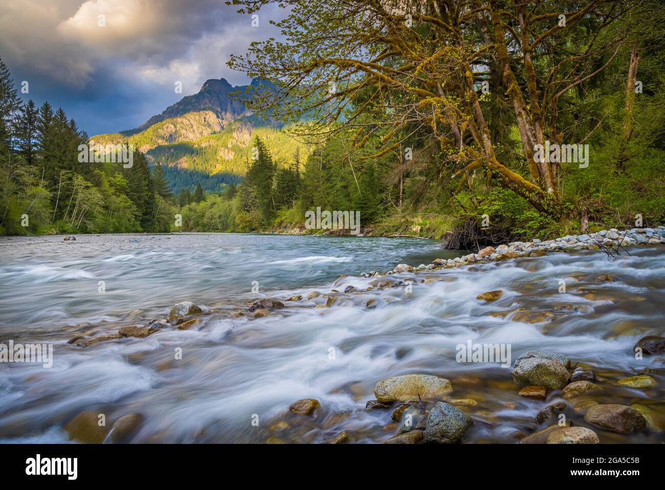 Middle Fork Snoqualmie River NRCA in Washington state. Stock Photo