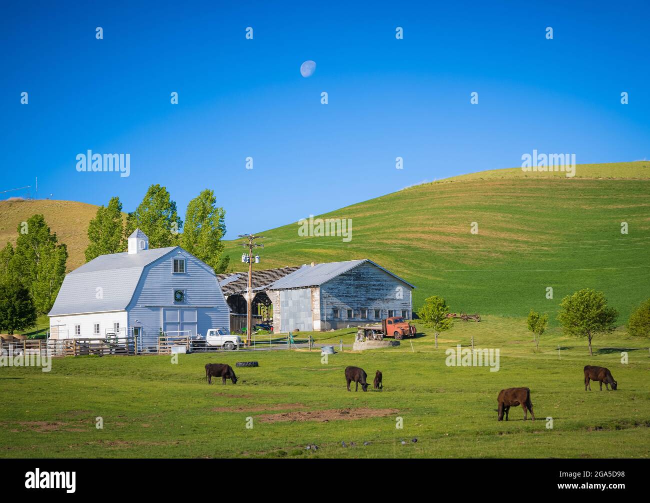 Old barn building in the agricultural Palouse area of eastern Washington state. The Palouse is a region of the northwestern United States, encompassin Stock Photo