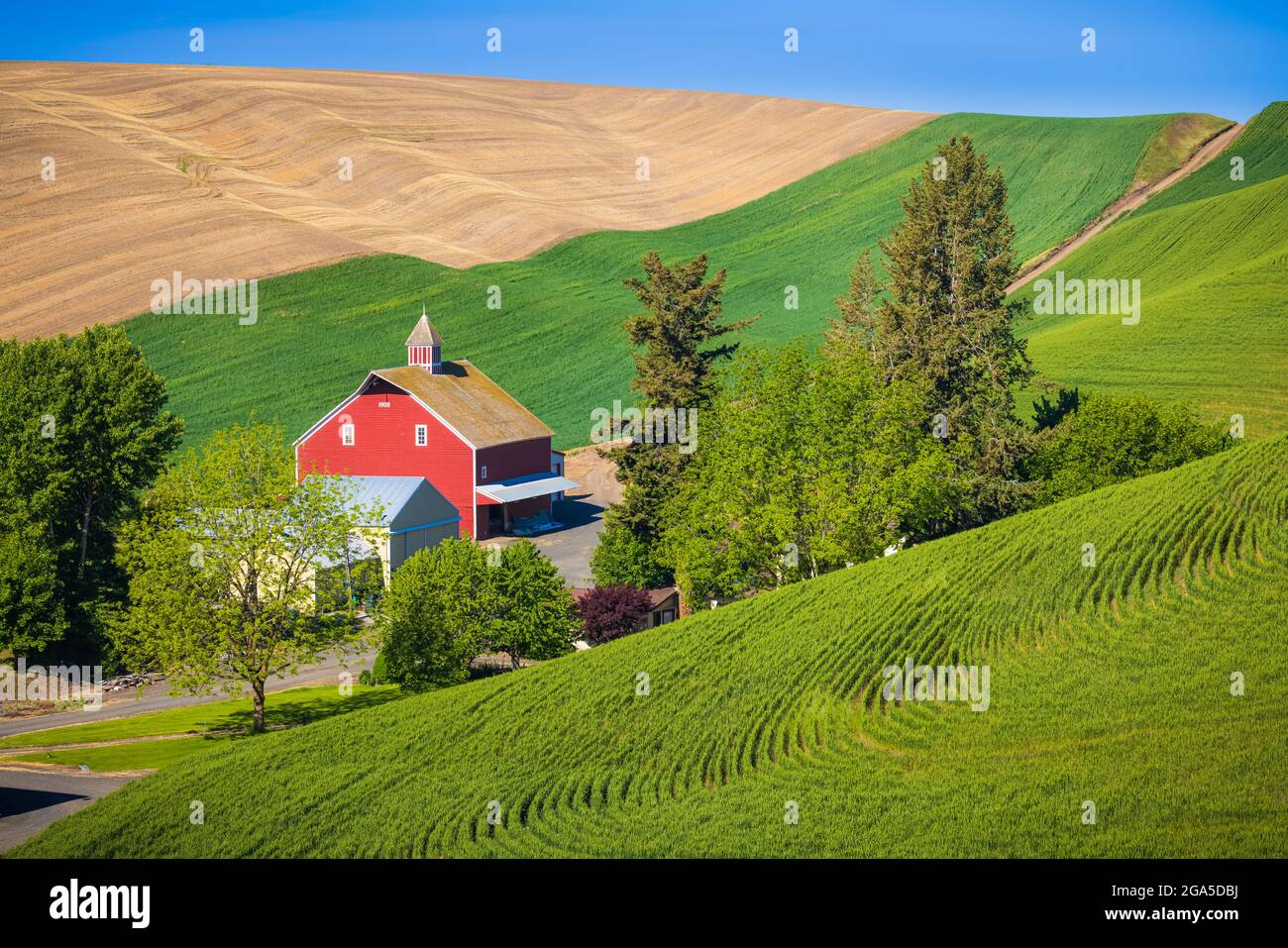 Farm buildings in the palouse area of eastern Washington Stock Photo