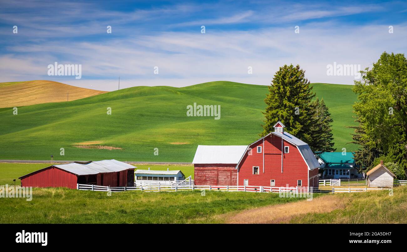 Farm buildings in the agricultural Palouse area of eastern Washington state. The Palouse is a region of the northwestern United States, encompassing p Stock Photo