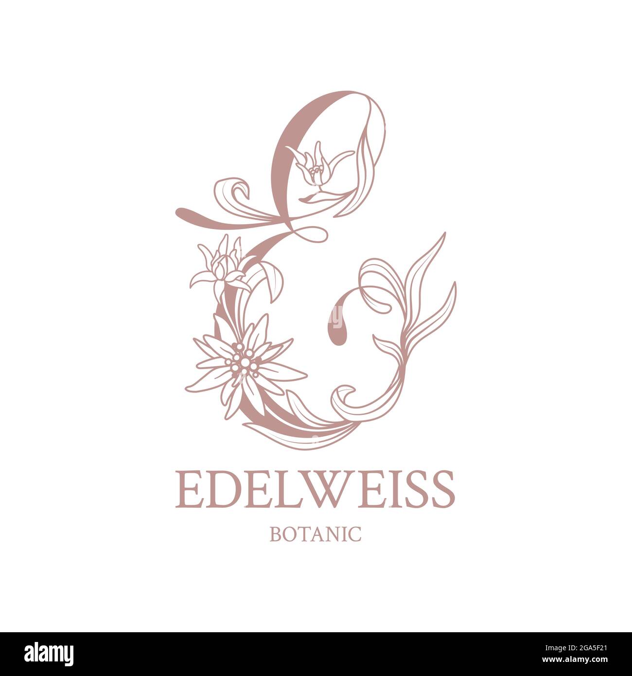 Edelweiss. Floral logo with elegant letter E. Drawn emblem for floral shops or studios, wedding florists, brand name, restaurant, boutique, hotel. Stock Vector