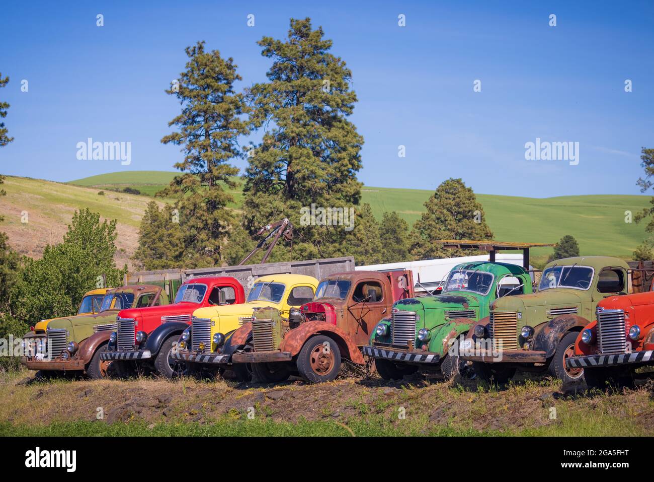 Old barn building and trucks in the agricultural Palouse area of eastern Washington state. The Palouse is a region of the northwestern United States, Stock Photo